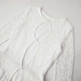 Lace Hollow Out Bodycon Mini Dress image 7