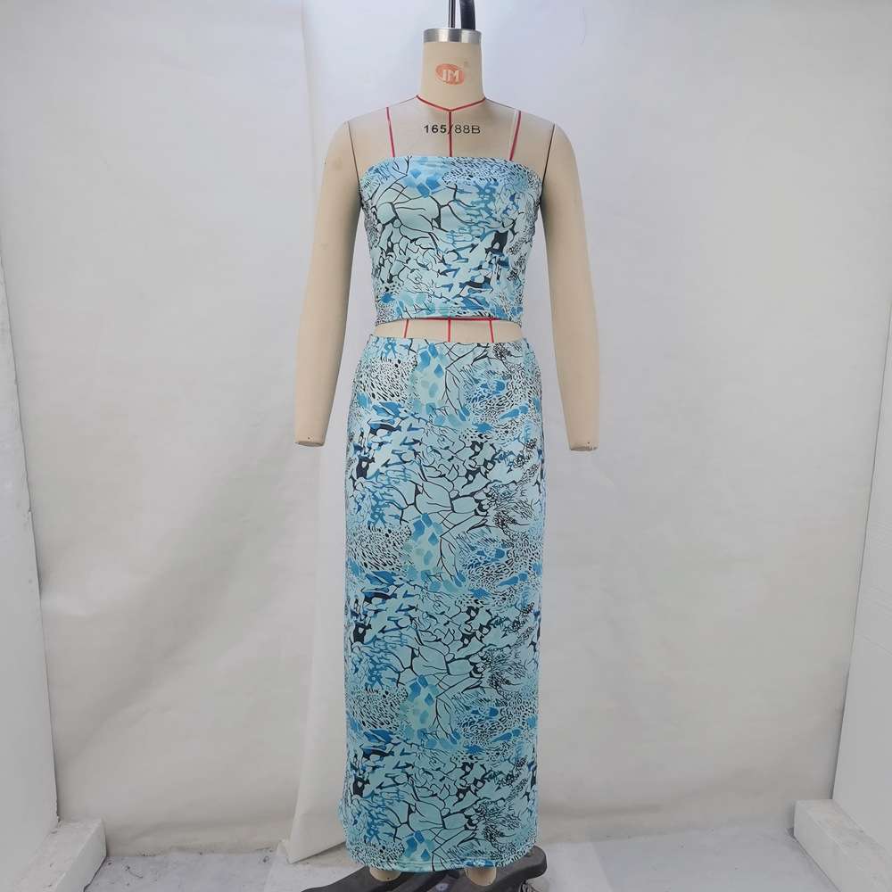 Strapless Animal Print Two-Piece Set image 1