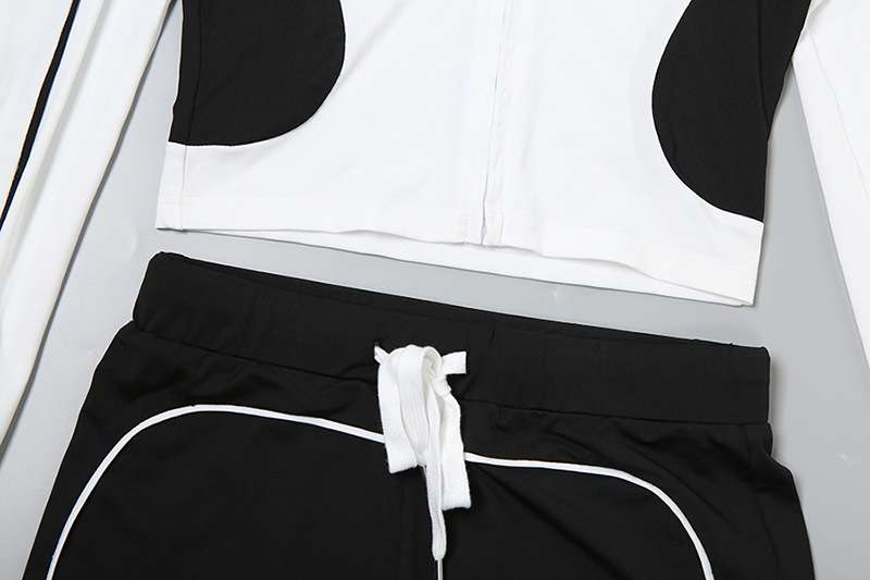 Stand Collar Fitness Sports Top and Shorts Set image 5