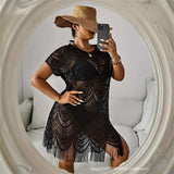 Lace Fringe Cover-Up Dress image 3
