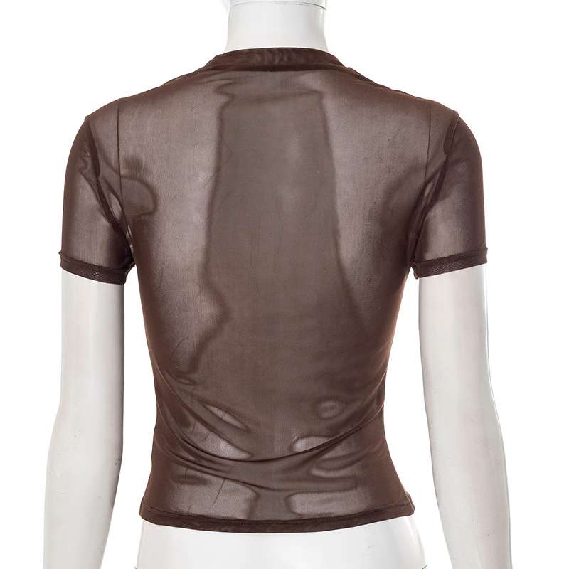 Sheer Mesh Top with Detailing image 2
