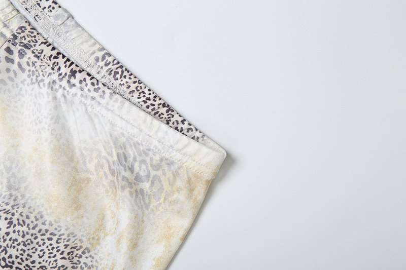 Leopard Print Two-Piece Set image 6