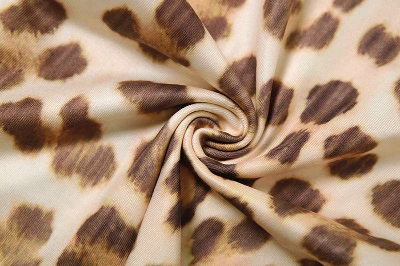 Leopard Print Hooded Crop Tops Pants Set image 7