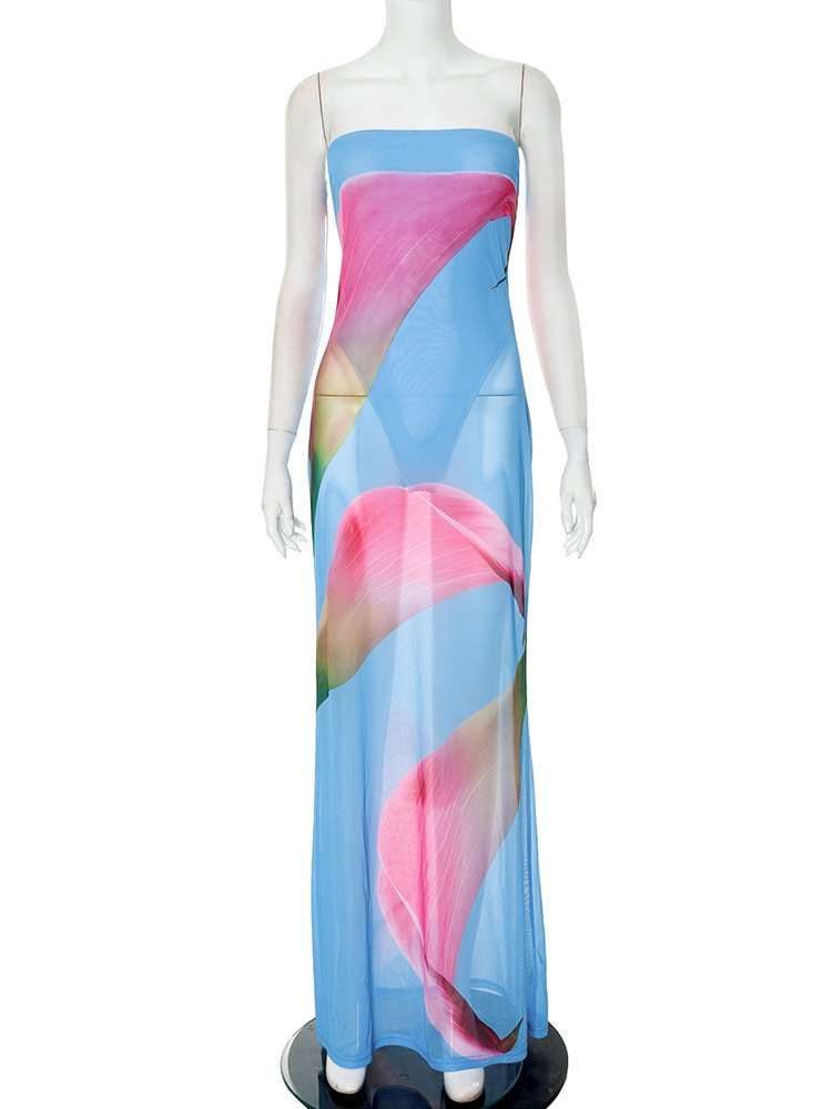 Strapless Floral Print Maxi Dress image 4